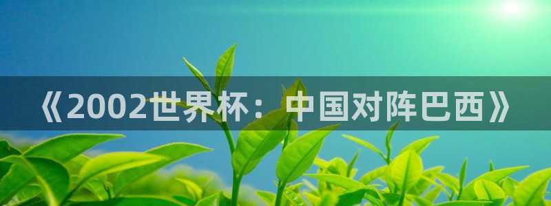 世界杯亚洲区预选赛赛程表：《2002世界杯：中国对阵巴西》