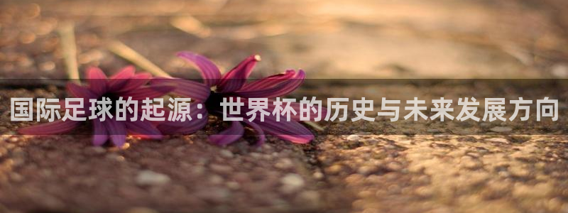 世界杯预赛赛程：国际足球的起源：世界杯的历史与未来发展方向