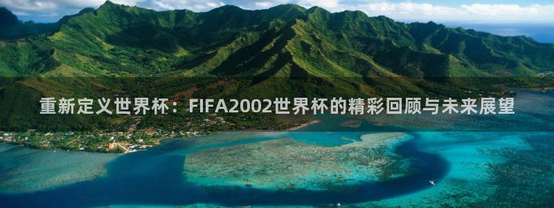 2026世界杯：重新定义世界杯：FIFA2002世界杯的精彩回顾与未来展望