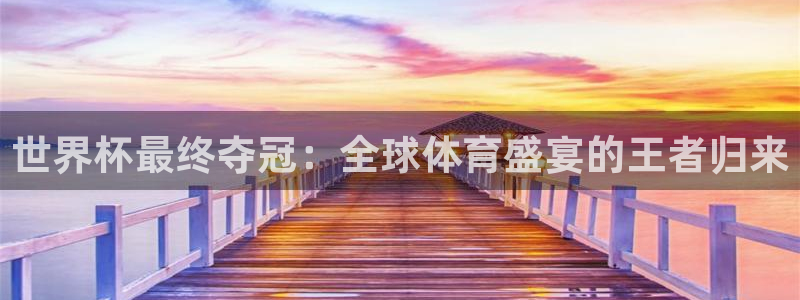 美国世界杯：世界杯最终夺冠：全球体育盛宴的王者归来