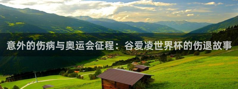 2026年世界杯对阵图：意外的伤病与奥运会征程：谷爱凌世界杯的伤退故事