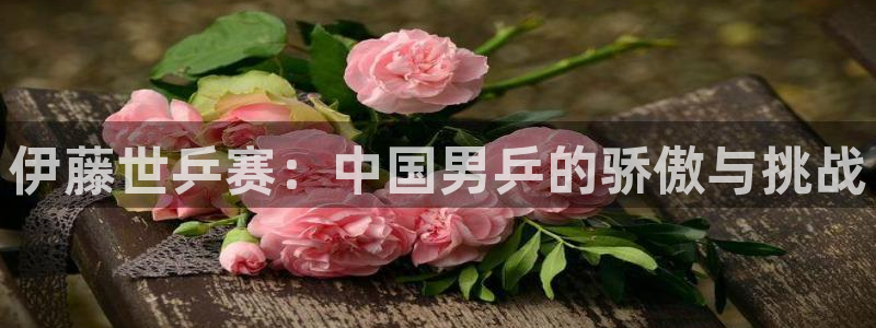世界杯对阵图2026：伊藤世乒赛：中国男乒的骄傲与挑战