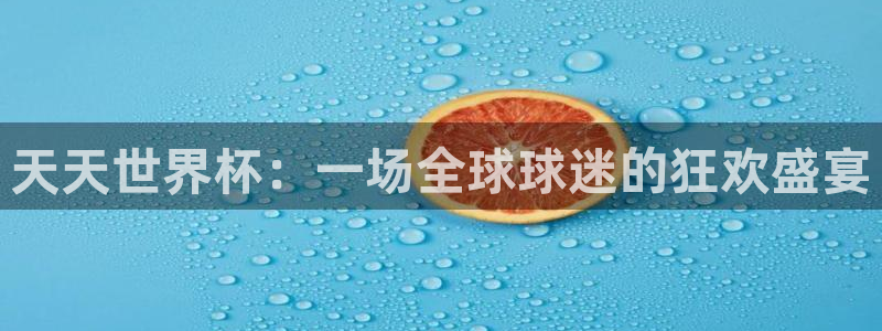 世界杯足球比赛：天天世界杯：一场全球球迷的狂欢盛宴