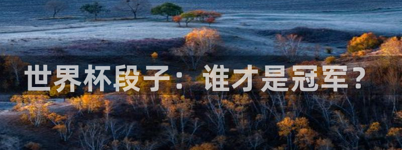 世界杯今日赛程直播：世界杯段子：谁才是冠军？