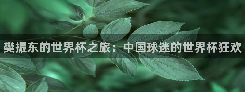 世界杯直播观看:樊振东的世界杯之旅:中国球迷的世界杯狂欢