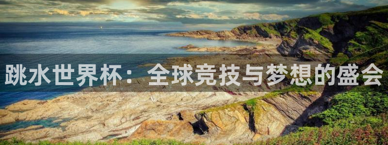 足球世界杯：跳水世界杯：全球竞技与梦想的盛会