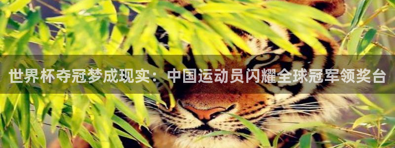 世界杯亚洲预选赛18强赛程：世界杯夺冠梦成现实：中国运动员闪耀全球冠军领奖台