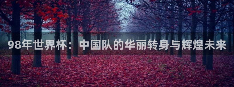世界杯预选赛2026：98年世界杯：中国队的华丽转身与辉煌未来