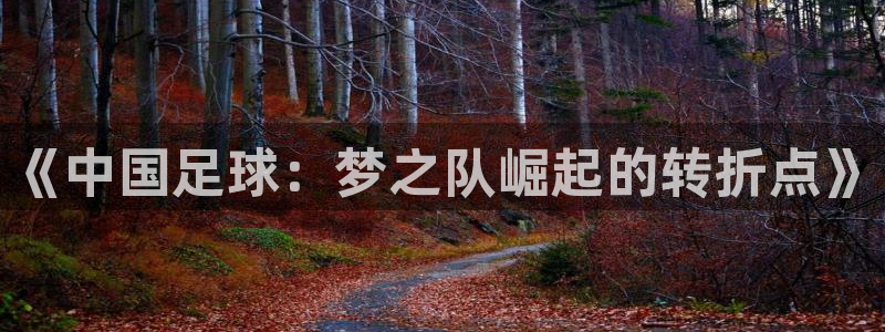 世预赛免费直播入口：《中国足球：梦之队崛起的转折点》