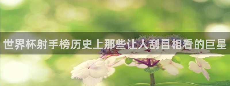 2026年世界杯：世界杯射手榜历史上那些让人刮目相看的巨星