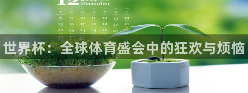 世界杯直播高清：世界杯：全球体育盛会中的狂欢与烦恼