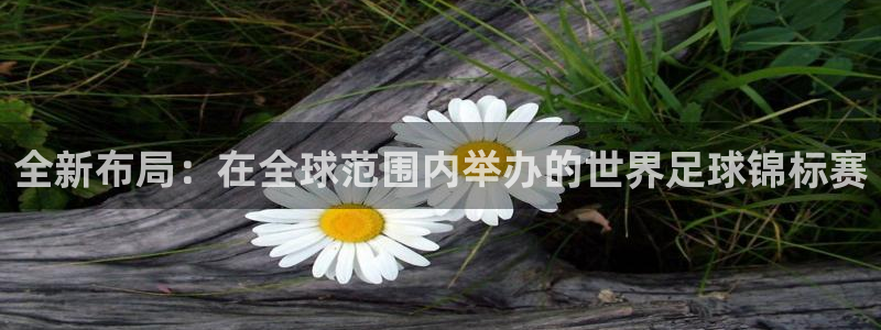 世预赛免费直播入口：全新布局：在全球范围内举办的世界足球锦标赛